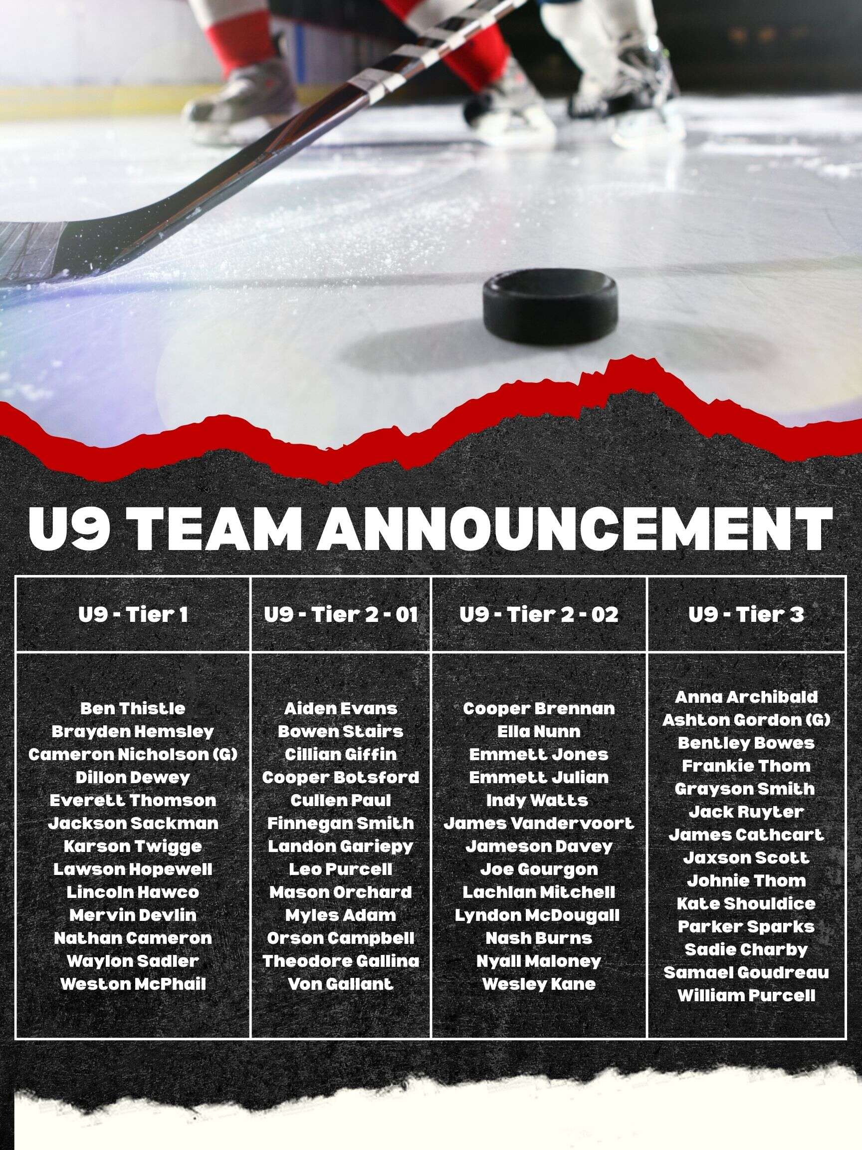 u9_team_announcement_-_jpg.jpg